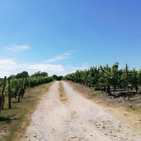 Domaine Les Planes B&B Nauviale